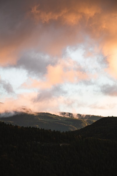 白天多云的天空下山上的绿树